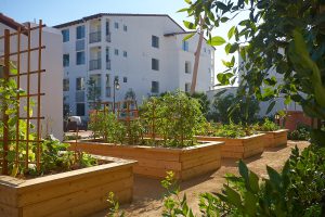 Community Garden