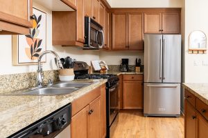 1 Bed/1 Bath - Kitchen