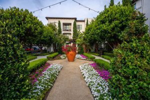 Apartment complex courtyard with a walking path and greenery.