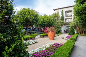 Apartment complex courtyard with a walking path and greenery.