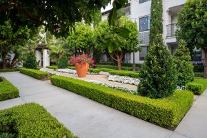 Apartment complex courtyard with a walking path and greenery.