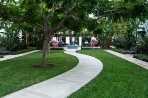 Apartment complex courtyard with a walking path and greenery.
